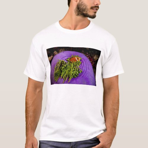 Anemonefish and large anemone T_Shirt