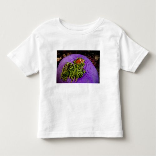Anemonefish and large anemone toddler t_shirt