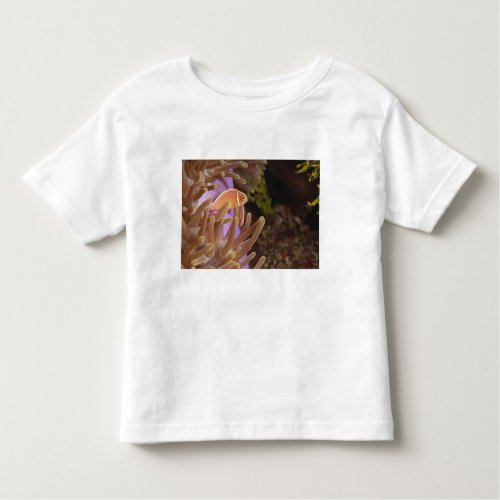 anemonefish Scuba Diving at Tukang Toddler T_shirt
