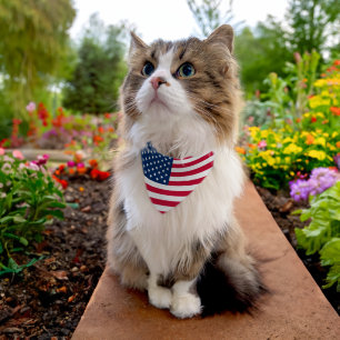 Anerican Flag Pet Bandana Collar USA