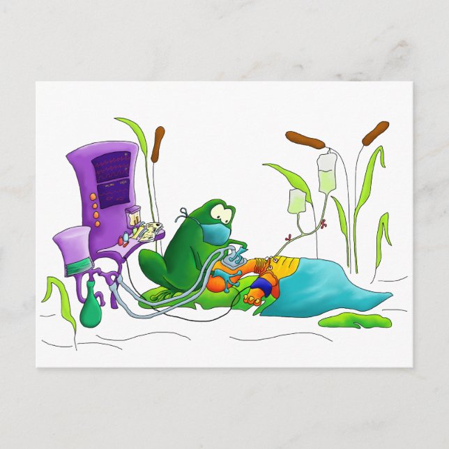 Anesthesia Doctor Frog Postcard (Front)