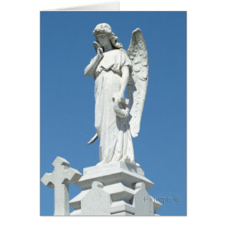 Angel Cards