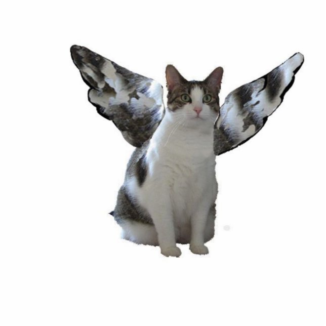 Angel Cat Cutout (Front)