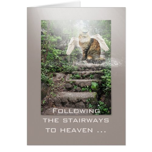 Angel Cat Stairway to Heaven Sympathy Card