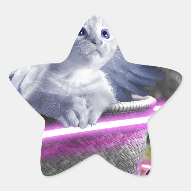 angel cat star sticker (Front)