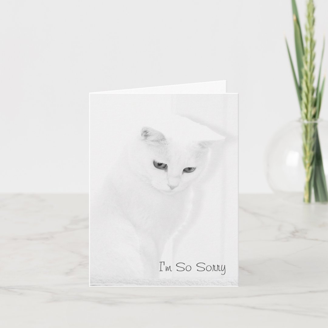 Angel Cat Sympathy Card | Zazzle