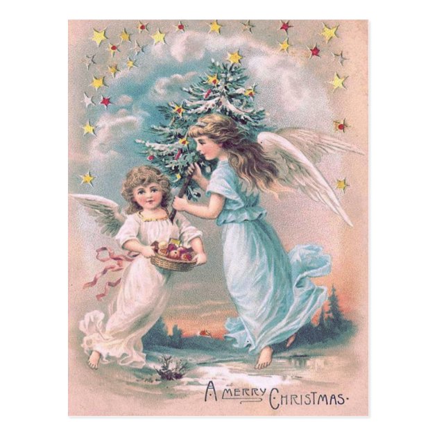 Angel Cherub Christmas Tree Apple Stars Postcard