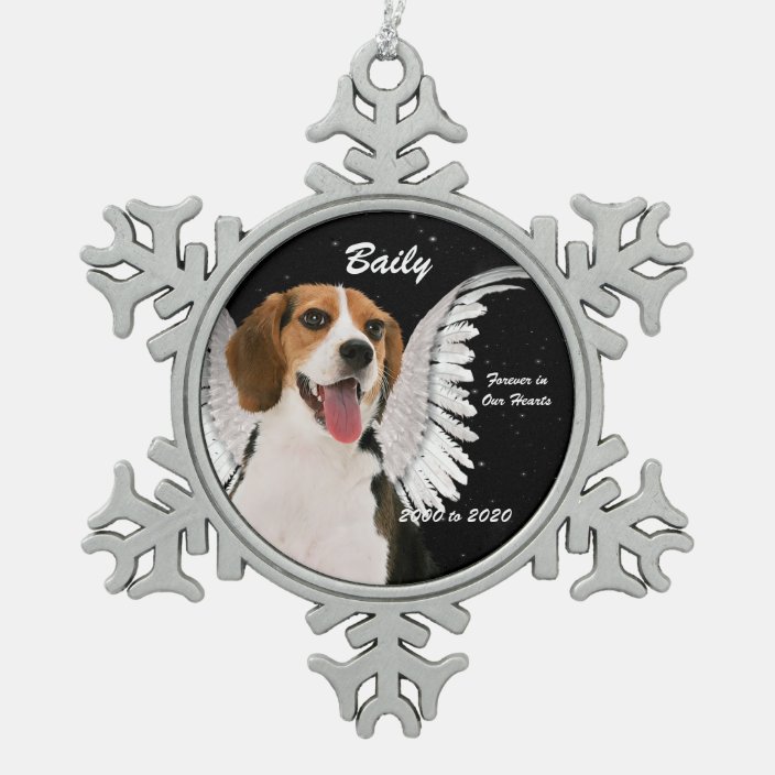 beagle memorial