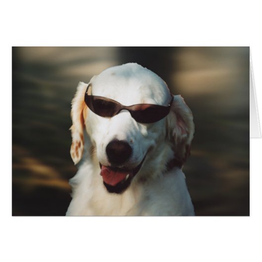 Angel Eyes (Front Horizontal)