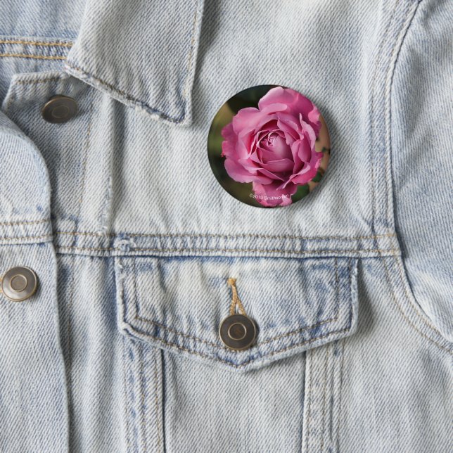 Angel Face Rose Button (In Situ)