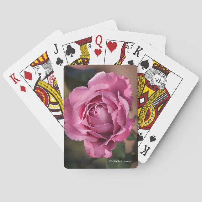 Angel Face Rose Poker Cards (Back)