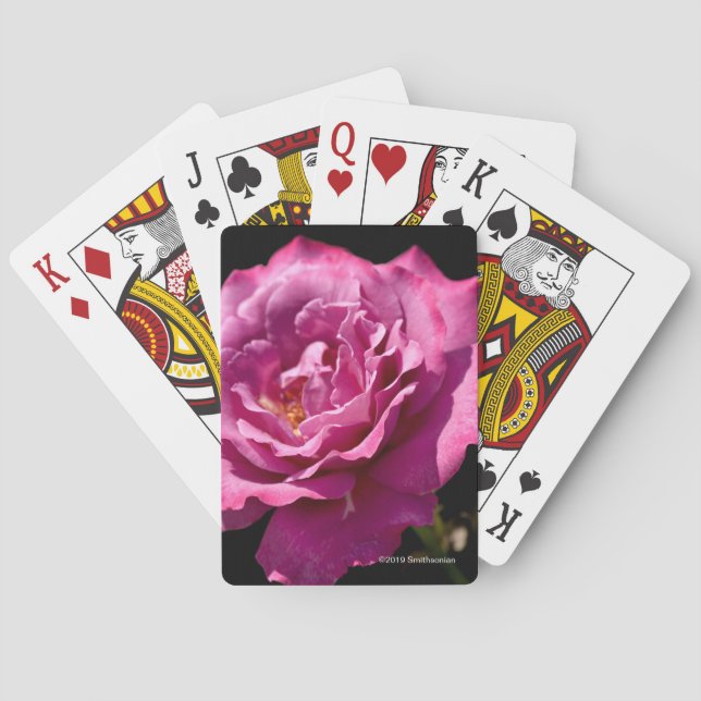 Angel Face Rose Up-Close Poker Cards (Back)