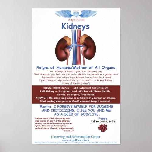 Angel Farms Kidney Chart