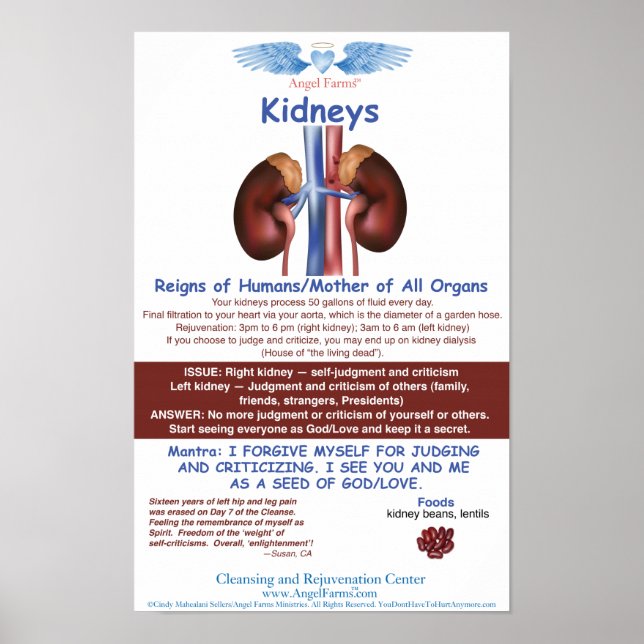 Angel Farms Kidney Chart (Front)