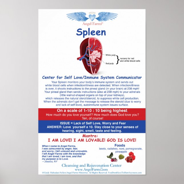 Angel Farms Spleen Chart (Front)