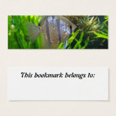 Angel Fish Bookmark (Front & Back)