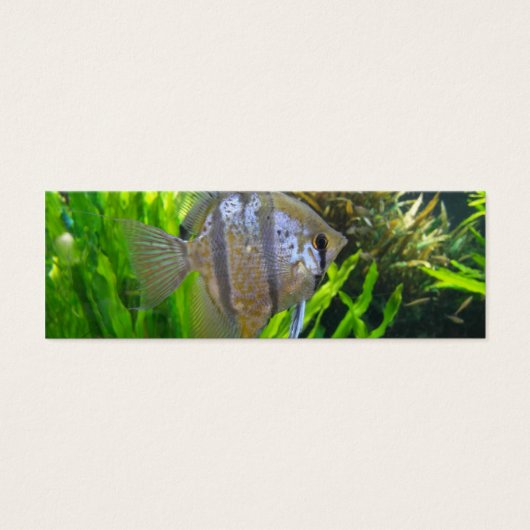 Angel Fish Bookmark (Front)
