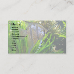 Angel Fish Business Card