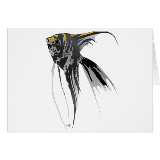 Angel Fish Cards (Front Horizontal)