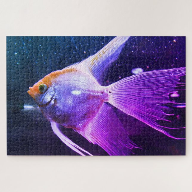 Angel Fish Jigsaw Puzzle (Horizontal)