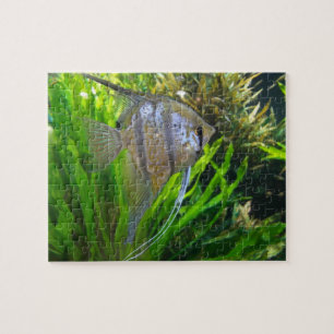 Angel FIsh Jigsaw Puzzle
