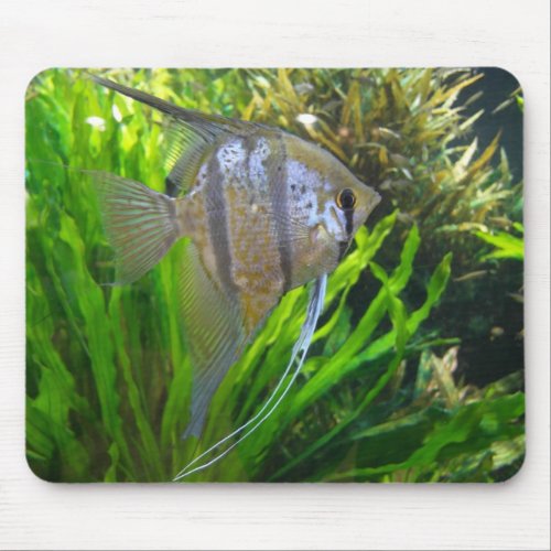 Angel Fish Mousepad