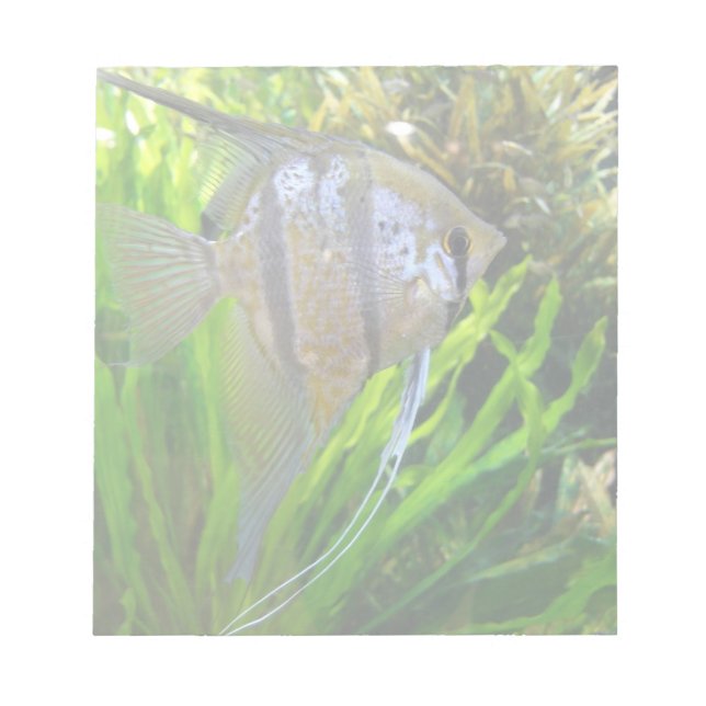 Angel Fish Notepad (Front)