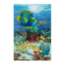 Angel fish on reef acrylic wall art