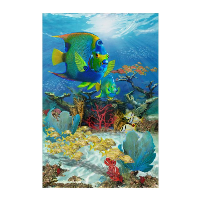 Angel fish on reef acrylic wall art (Front)