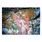 Angel Grace (Front Horizontal)