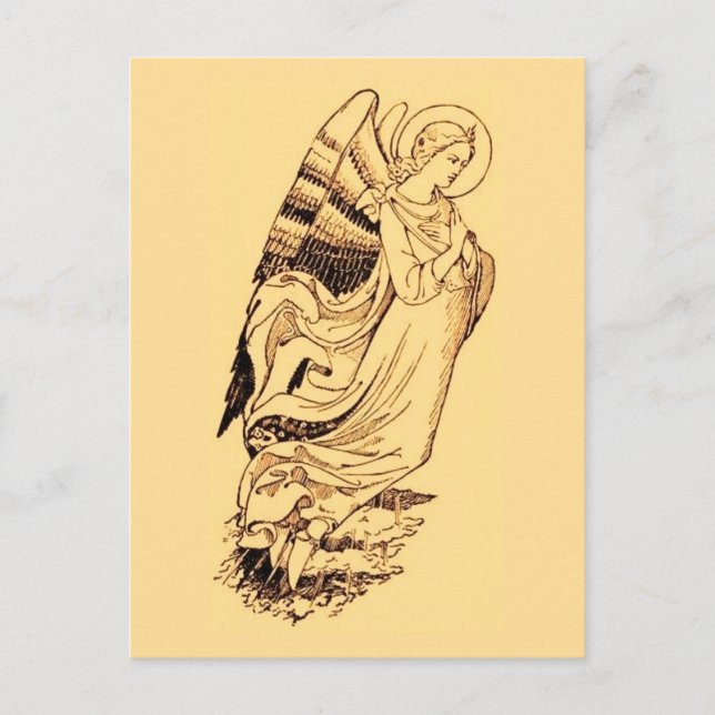 Angel In Pink And Gold Postcard (Front)