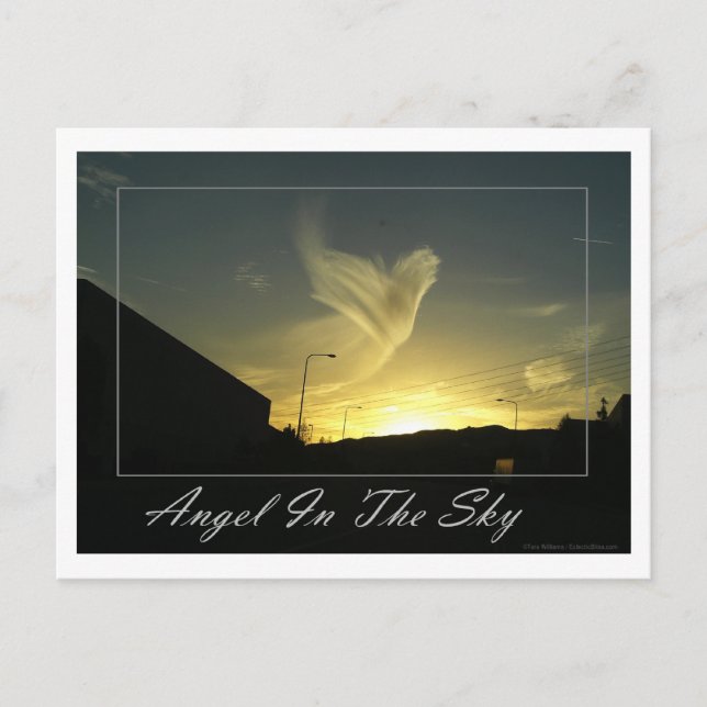 Angel In The Sky (Los Angeles) Postcard (Front)