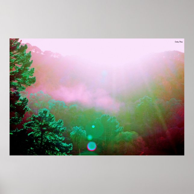 Angel Island Poster - X-Large (38" x 25.4") (Front)