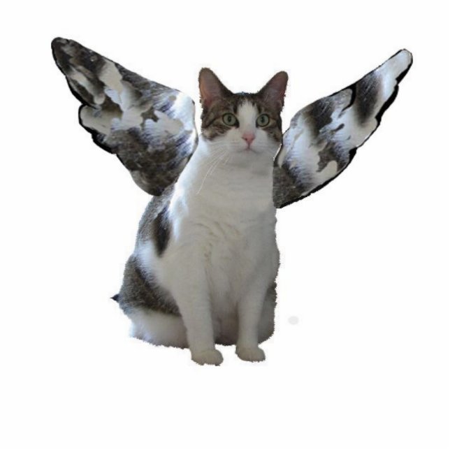 Angel Kitty Ornament (Front)