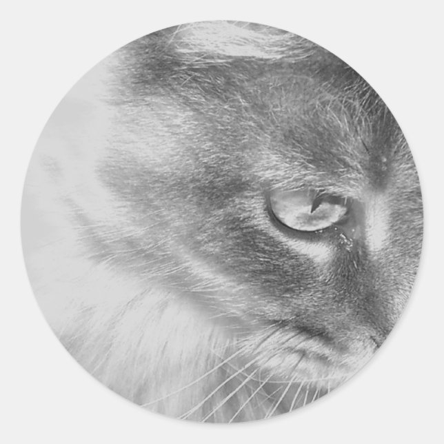 "Angel Kitty" Portrait Classic Round Sticker (Front)