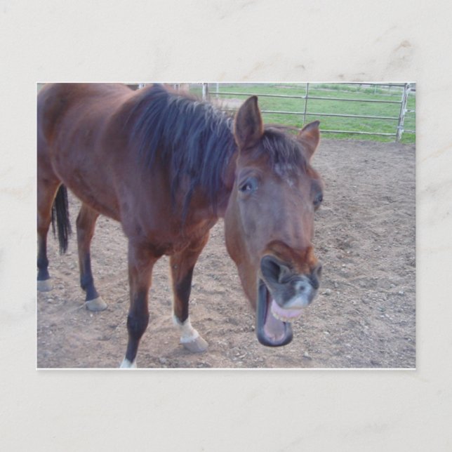 Angel Laugh Postcard (Front)