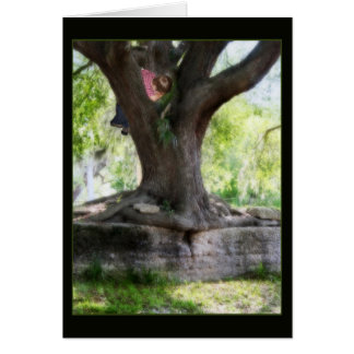 Angel Oak Cards
