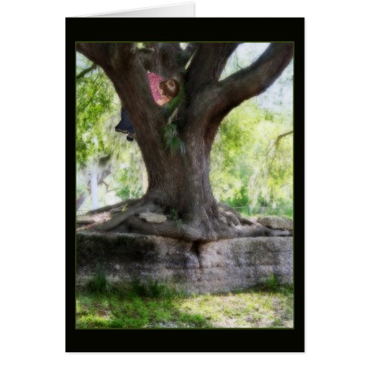 Angel Oak Cards (Front)