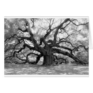 Angel Oak Cards