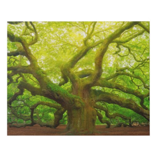 Angel Oak Faux Canvas Print