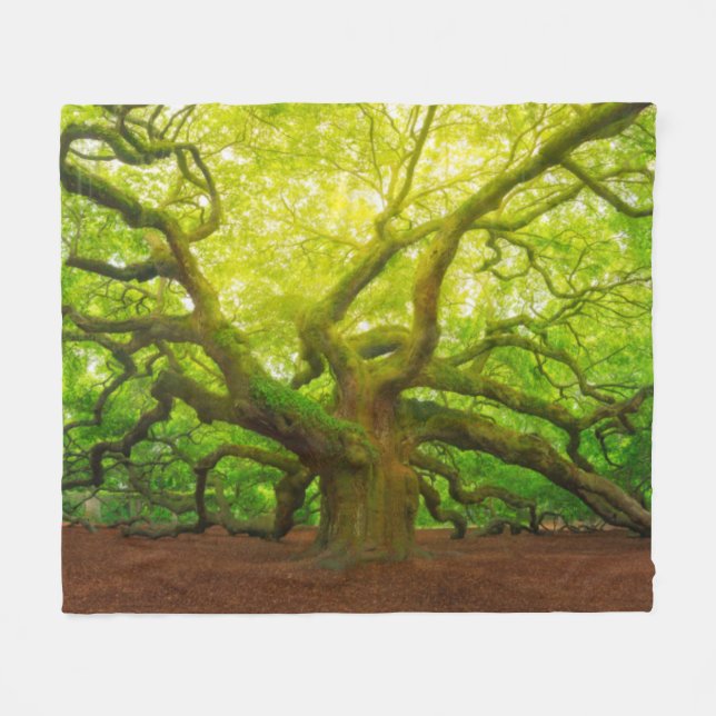 Angel Oak Fleece Blanket (Front (Horizontal))