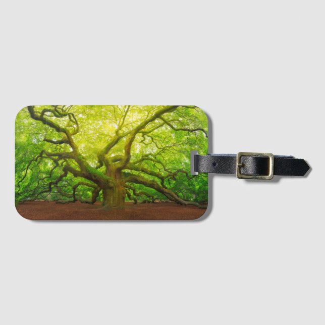 Angel Oak Luggage Tag (Front Horizontal)