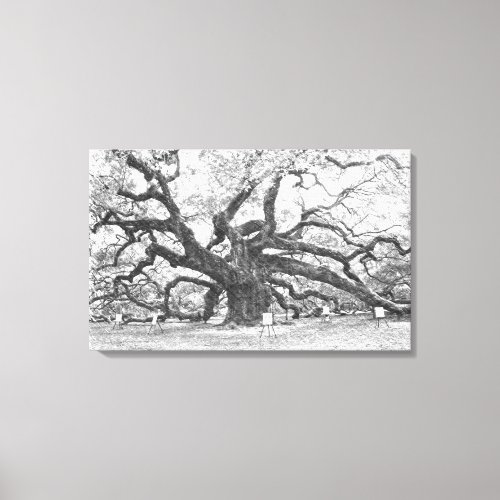 Angel Oak Tree Canvas Print