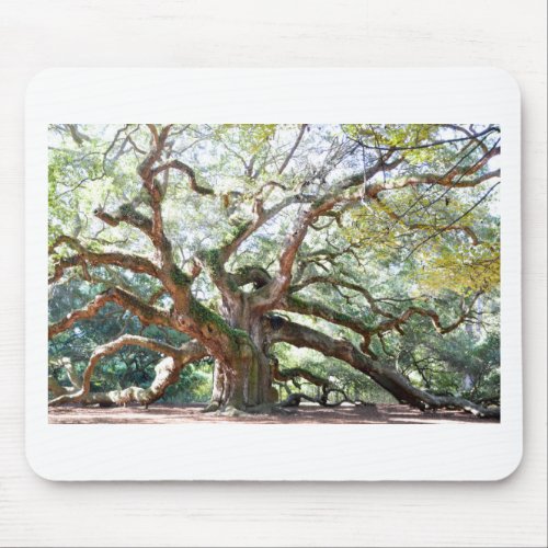 Angel Oak Tree Gifts Mouse Pad