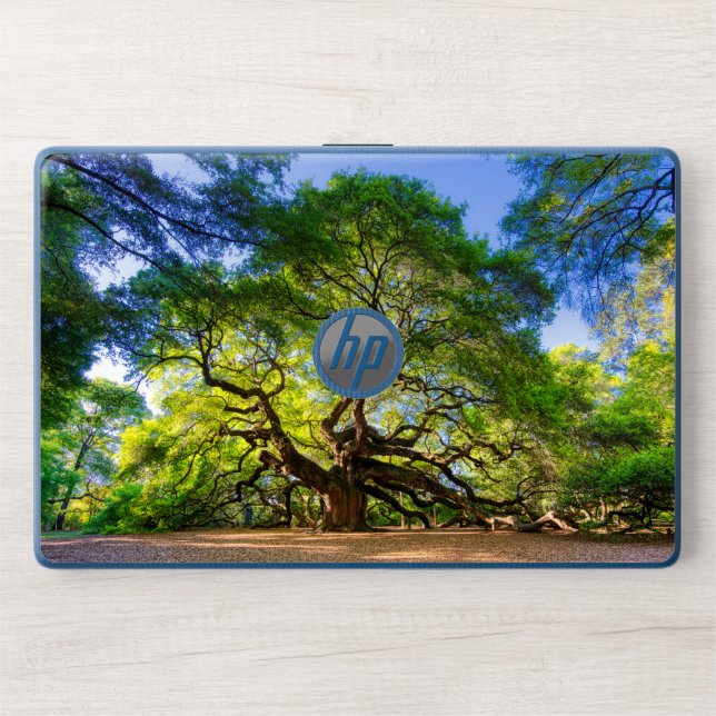 Angel Oak Tree HP Laptop Skin (Front)
