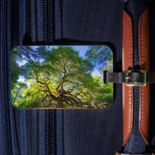 Angel Oak Tree Luggage Tag