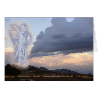 Angel of Light Renewed! Cards