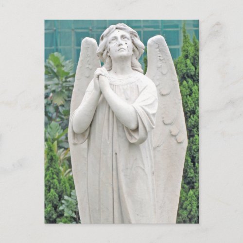 Angel pleading with the sky postcard