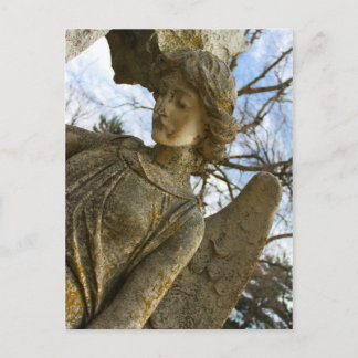 Angel Postcard