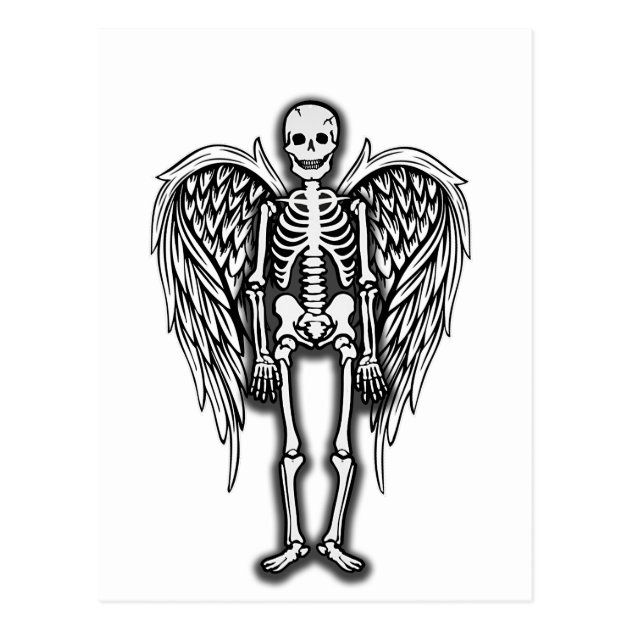 Angel Skeleton Postcard